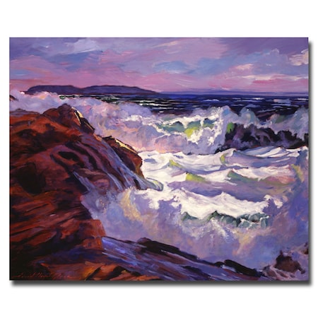 David Lloyd Glover 'Palos Verdes Beach' Canvas Art,26x32